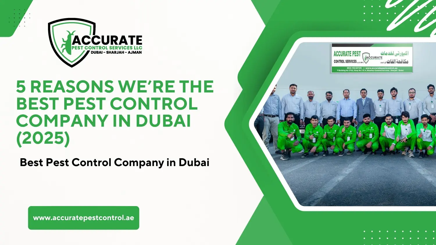 5 Reasons We're the Best Pest Control Company in Dubai (2025)