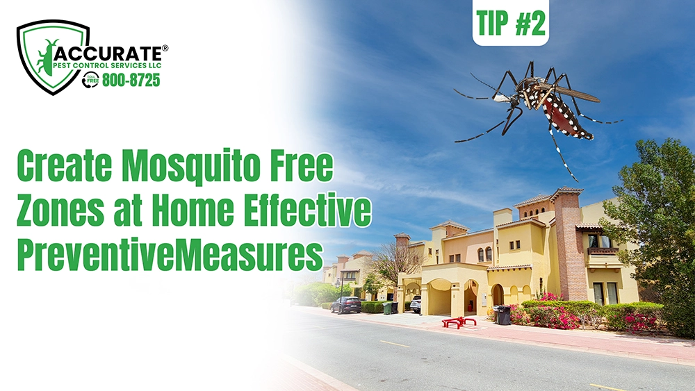 Mosquitoes in Dubai After Rain: 4 Safety Tips